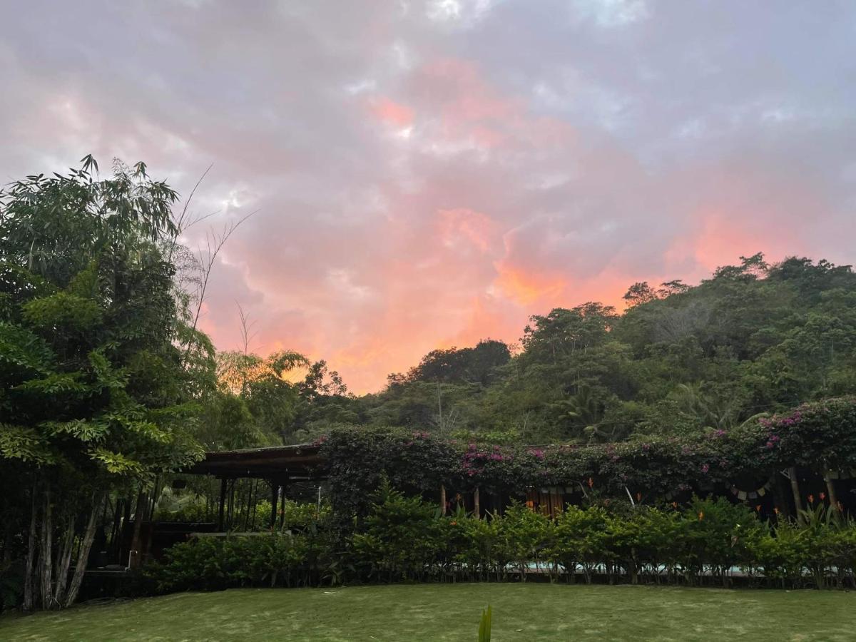 普拉亚埃尔莫萨Soul Sync Sanctuary Formally Hacienda La Moringa公寓 外观 照片